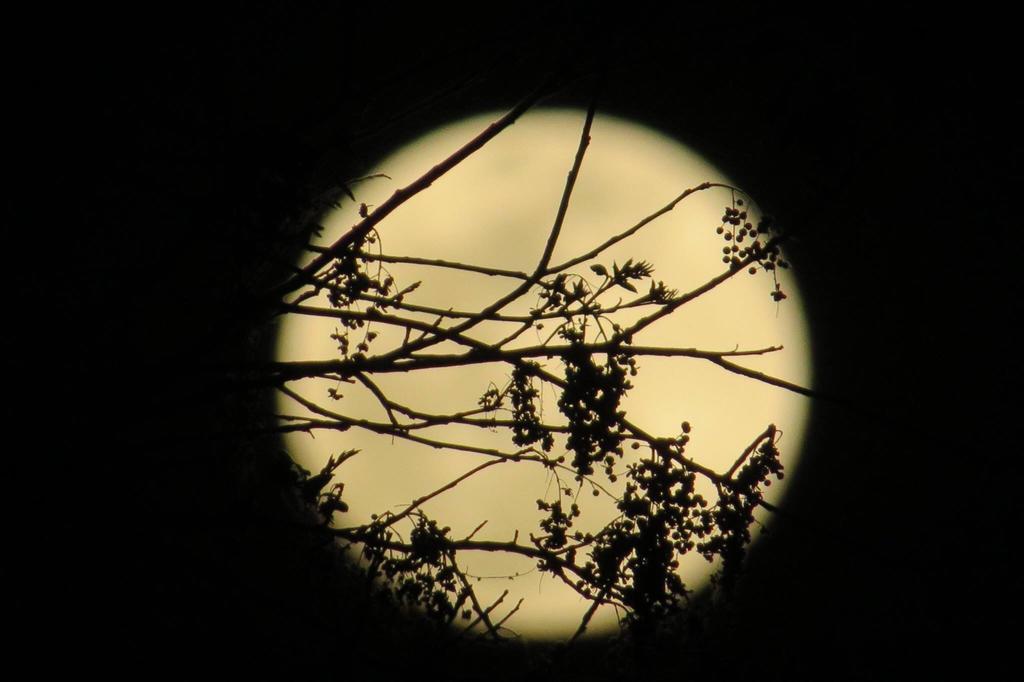 Pousada Luna Zen Pirenópolis Dış mekan fotoğraf